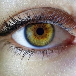 MiSight® 1 Day Contact Lenses